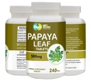 papaya-leaf-extract-capsules-tablets-500-2.jpg