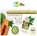 papaya-leaf-extract-capsules-tablets-500-4.jpg