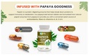 papaya-leaf-extract-capsules-tablets-500-5.jpg