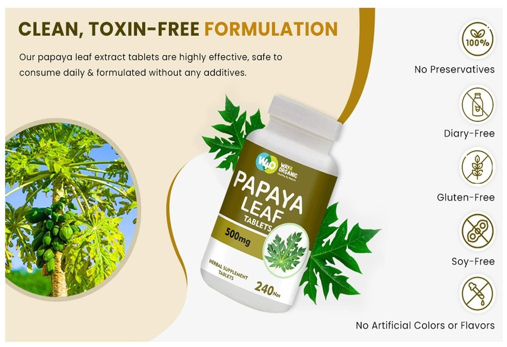 papaya-leaf-extract-capsules-tablets-500-6.jpg