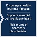 life-extension-lecithin-promotes-healthy-4.jpg