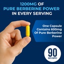 nsf-certified-berberine-supplement-berbe-5.jpg