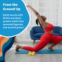 garden-of-life-holistic-wellness-bundle--3.jpg
