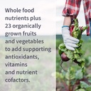 garden-of-life-vitamin-b-complex-120-veg-4.jpg