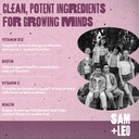 sam-leo-immunity-sleep-gummies-with-elde-2.jpg