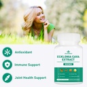 spliferikou-ecklonia-cava-extract-800mg--4.jpg