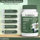 rhodiola-rosea-capsules-500mg-standardiz-4.jpg