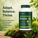 soluma-rhodiola-rosea-400mg-capsules-ada-3.jpg