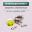 rhodiola-rosea-supplement-500mg-rhodiola-6.jpg