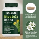 soluma-rhodiola-rosea-natural-rhodiola-r-4.jpg