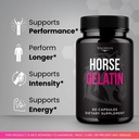 valdivia-horse-gelatin-capsules-official-2.jpg