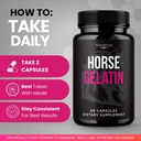 valdivia-3-pack-horse-gelatin-capsules-o-4.jpg