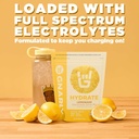 gnarly-nutrition-hydrate-electrolyte-pow-3.jpg