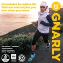 gnarly-nutrition-hydrate-electrolyte-pow-2.jpg