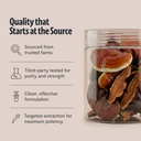 freshcap-mushrooms-premium-organic-lions-6.jpg