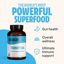 freshcap-mushrooms-brain-and-body-bundle-2.jpg