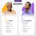 lithium-ascorbate-brain-supplements-bund-3.jpg