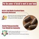 noto-master-reishi-mushroom-lingzhi-supp-6.jpg