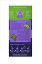 organic-india-tea-tulsi-sleep-organic-18-4.jpg