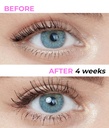 stacy-lash-growth-serum-017floz-5ml-eyeb-2.jpg