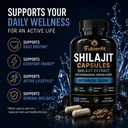 shilajit-supplement-capsules-8-herbal-ex-4.jpg