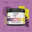 zhou-creatine-plus-hmb-powder-muscle-gro-4.jpg