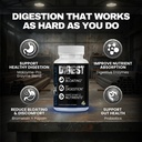 blue-collar-nutrition-digest-digestive-e-2.jpg