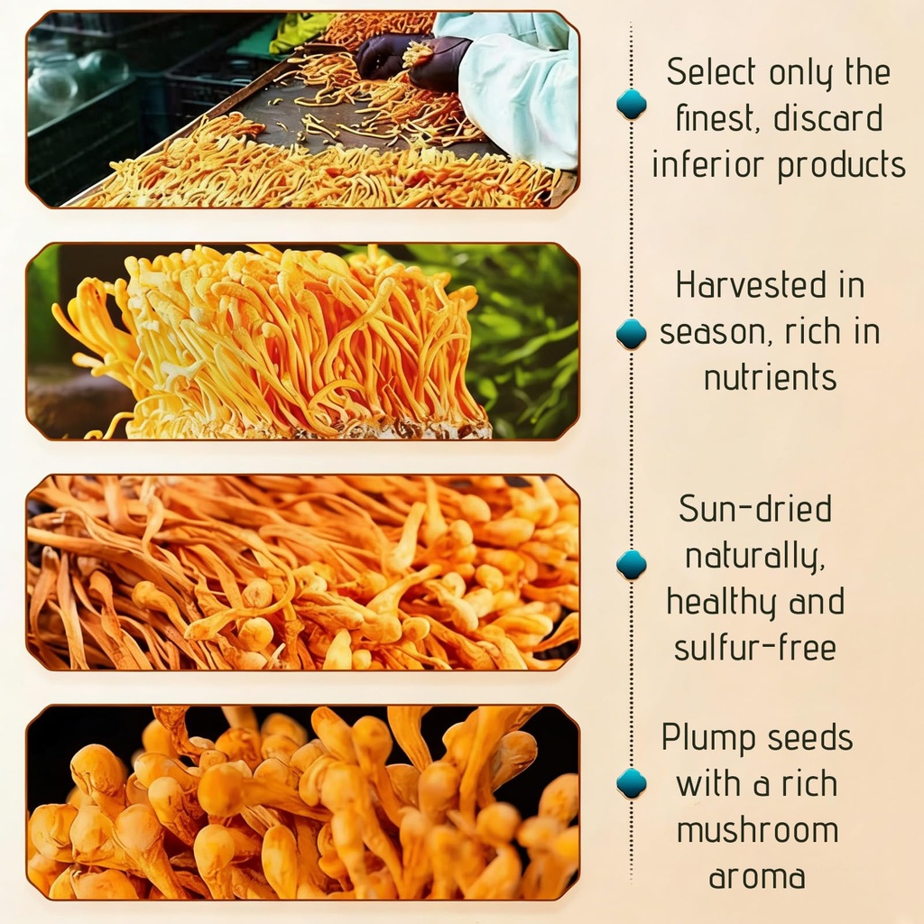 dried-cordyceps-militaris-mushroom-3-53--6.jpg