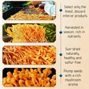 dried-cordyceps-militaris-mushroom-3-53--6.jpg