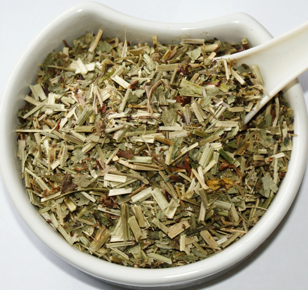 burnet-herb-sanguisorba-officinalis-l-he-2.jpg