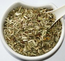 burnet-herb-sanguisorba-officinalis-l-he-2.jpg