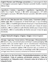 english-plantain-leaf-plantago-lanceolat-3.jpg