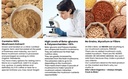 ellie-s-best-lions-mane-mushroom-extract-5.jpg