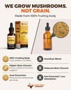 rise-mushroom-complex-drops-lion-s-mane--5.jpg