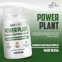 adaptogenic-mushrooms-with-cordyceps-rho-5.jpg