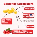 vimerson-health-berberine-supplement-wit-4.jpg