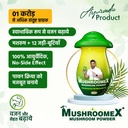 mushro-ompowder-ayurvedic-weight-gainer--5.jpg