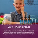 wishgarden-herbs-quiet-time-for-kids-nat-5.jpg