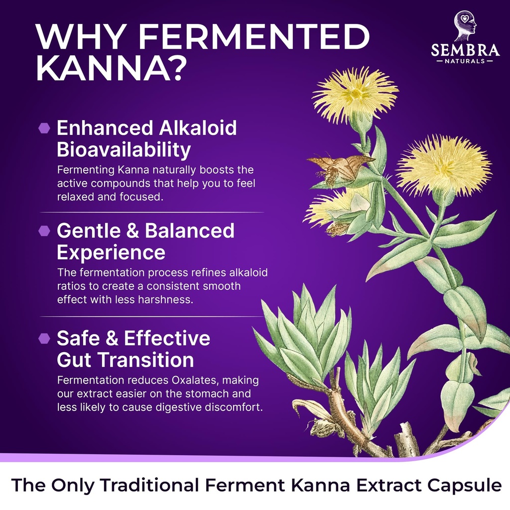 kannafocus-natural-kanna-extract-50mg-fe-4.jpg