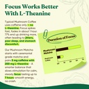 venture-pal-mushroom-matcha-powder-13-su-5.jpg