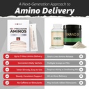 10x-health-precision-aminos-essential-am-2.jpg