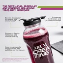 arum-creatine-with-beetroot-electrolytes-4.jpg