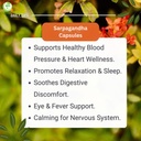 morsan-healthcare-rauwolfia-serpentina-s-5.jpg