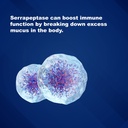 lifelink-cardiopeptase-serrapeptase-5-mg-6.jpg