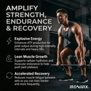 creatine-monohydrate-powder-unflavored-6-2.jpg