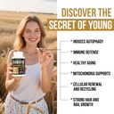 spermidine-supplements-13mg-1300mg-wheat-6.jpg