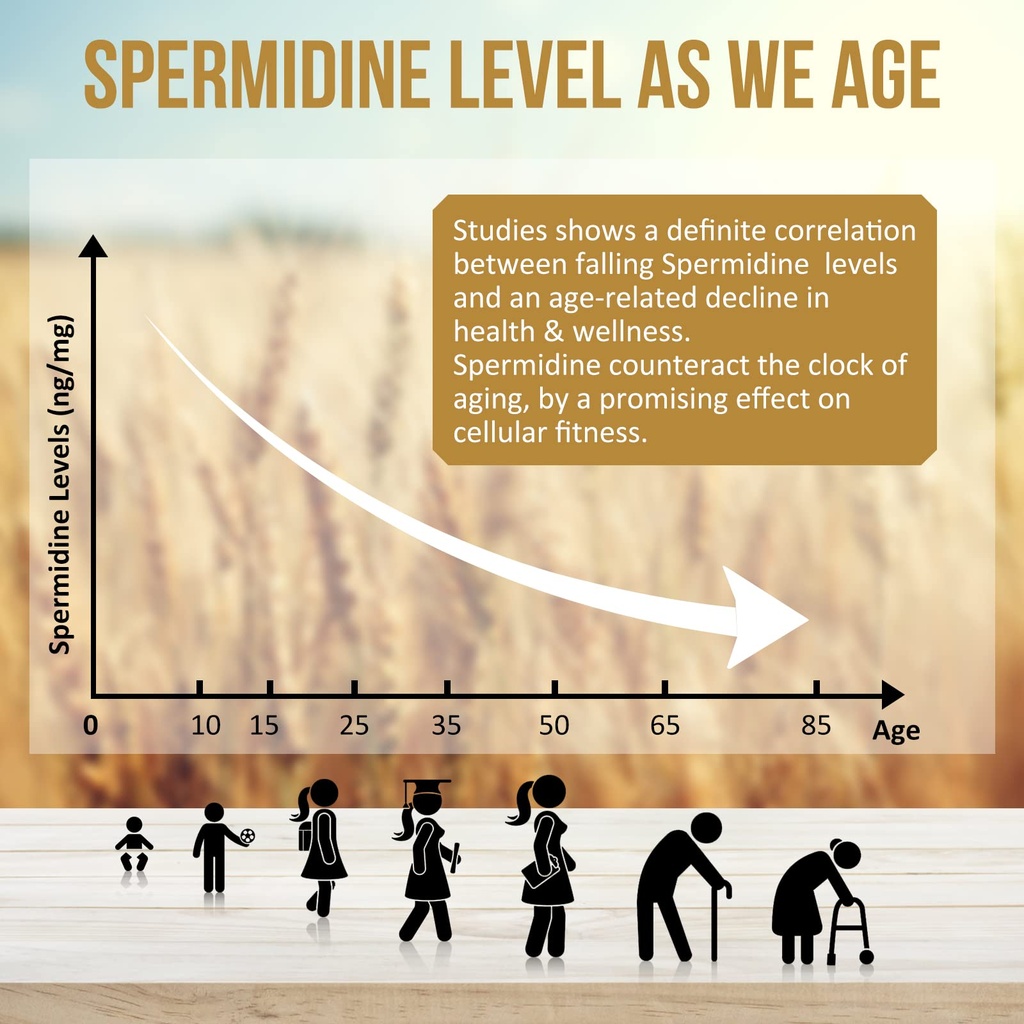 spermidine-supplements-13mg-1300mg-wheat-4.jpg