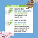 stellalife-probiotics-oral-gut-prebiotic-4.jpg