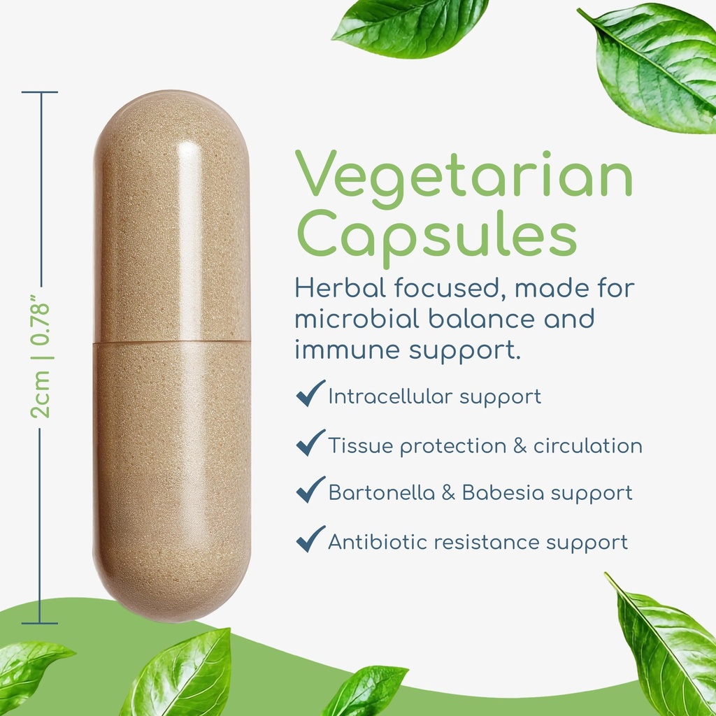 cryptolepis-concentrate-immune-support-w-4.jpg