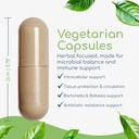 cryptolepis-concentrate-immune-support-w-4.jpg